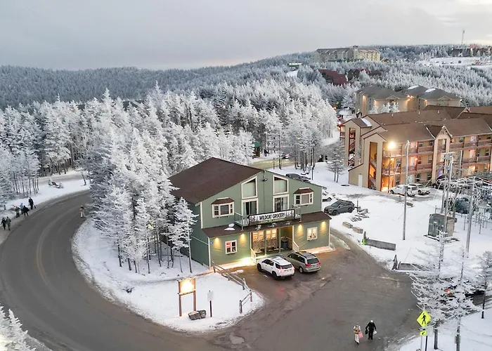 Ml246 Spacious Condo Mtn & Lake Views Fireplace